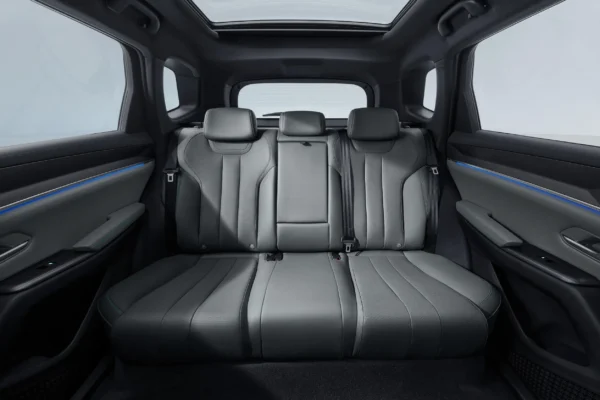 BYD 2025 Song Pro DM-i Intelligent Driving Edition - Image 14