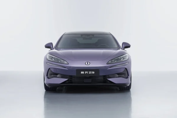 Denza Z9 - Image 2
