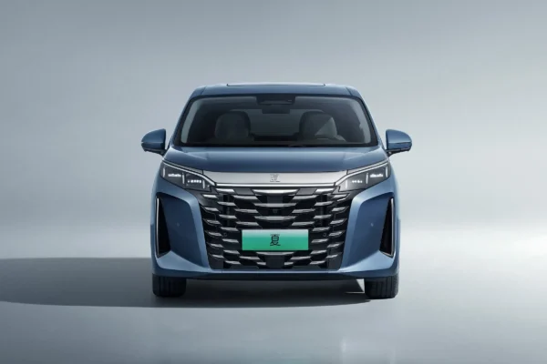 BYD 2025 Xia - Image 2