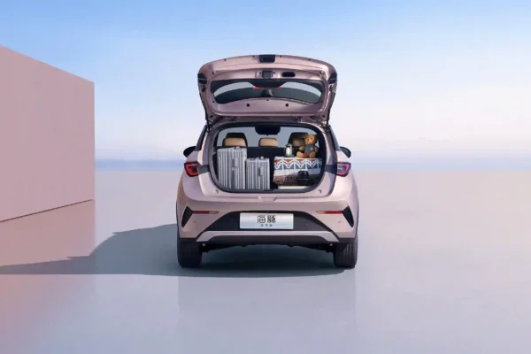 BYD 2025 Dolphin Intelligent Driving Edition - Image 8