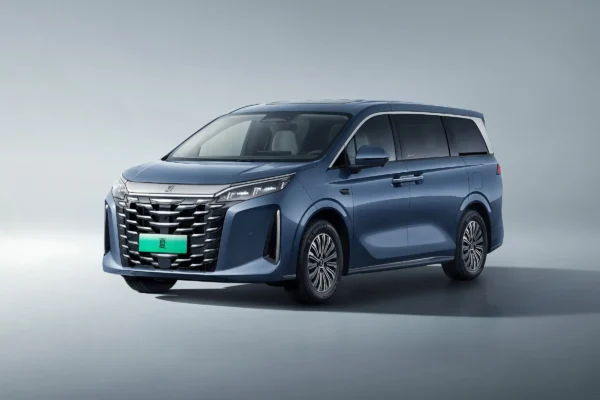 BYD 2025 Xia - Image 3