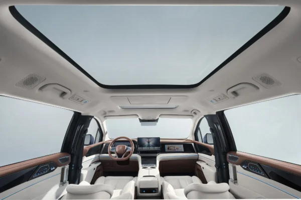 BYD 2025 Xia - Image 16