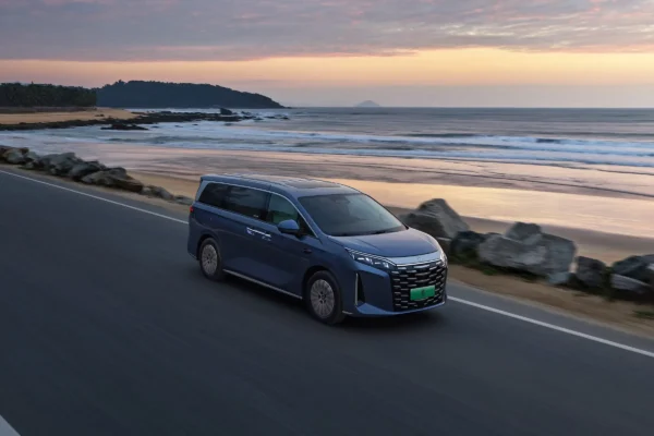 BYD 2025 Xia - Image 11
