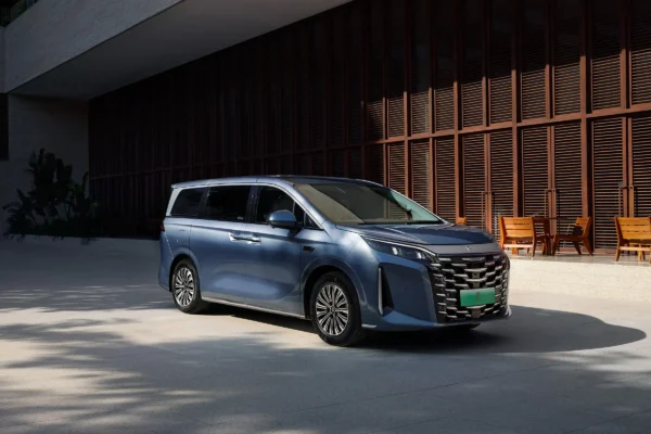 BYD 2025 Xia - Image 12