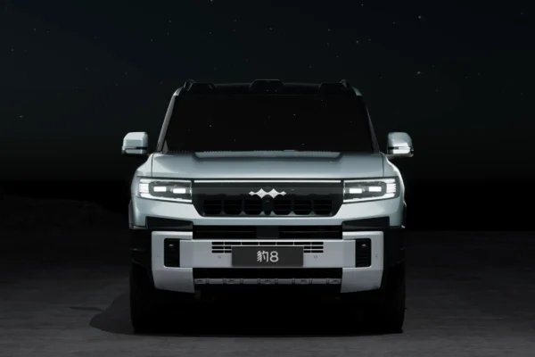Formula Leopard 8 - Image 3