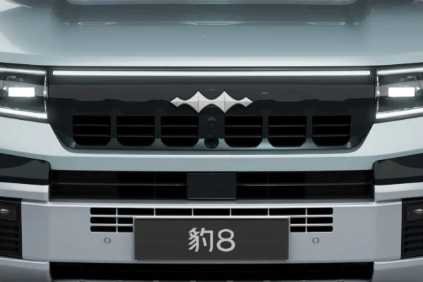 Formula Leopard 8 - Image 6