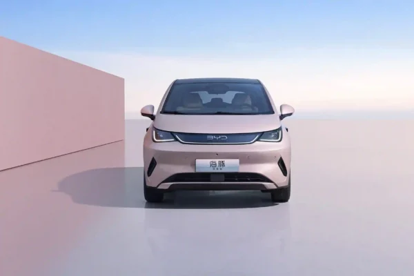 BYD 2025 Dolphin Intelligent Driving Edition - Image 2