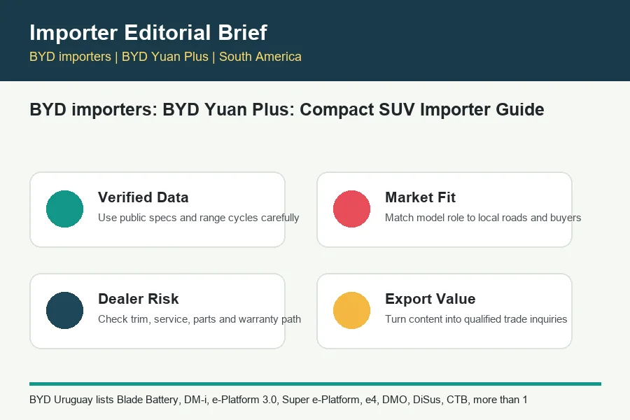 BYD importers infographic for BYD trade buyers