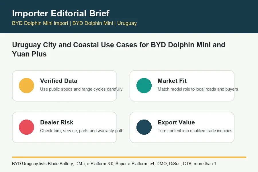 BYD Dolphin Mini import infographic for BYD trade buyers