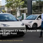 Paraguay Compact EV Retail: Dolphin Mini as a Low-Risk Entry Point