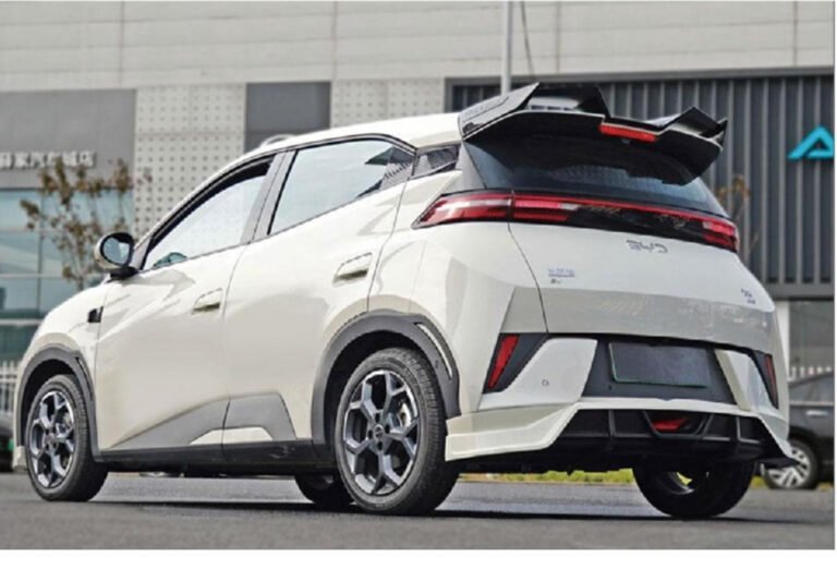 BYD Seagull body kit with front lip, rear diffuser and roof spoiler