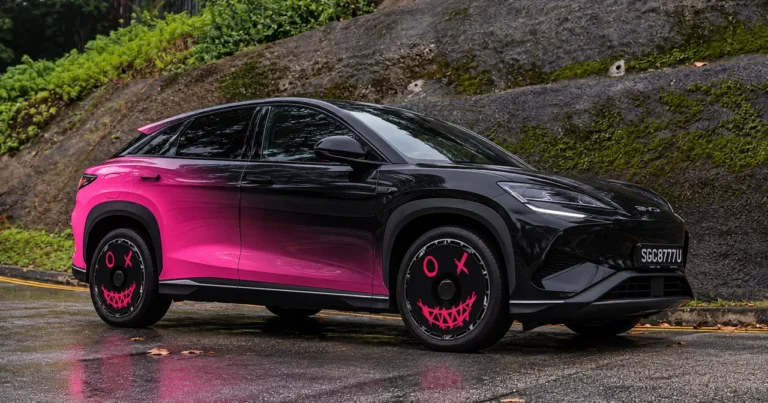 08-byd-sealion-7-pink-smiley-wheel-cover