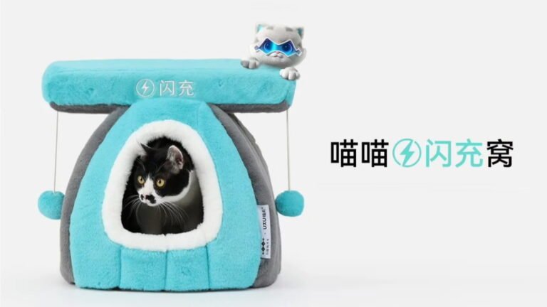 cat_e-1500x843-4